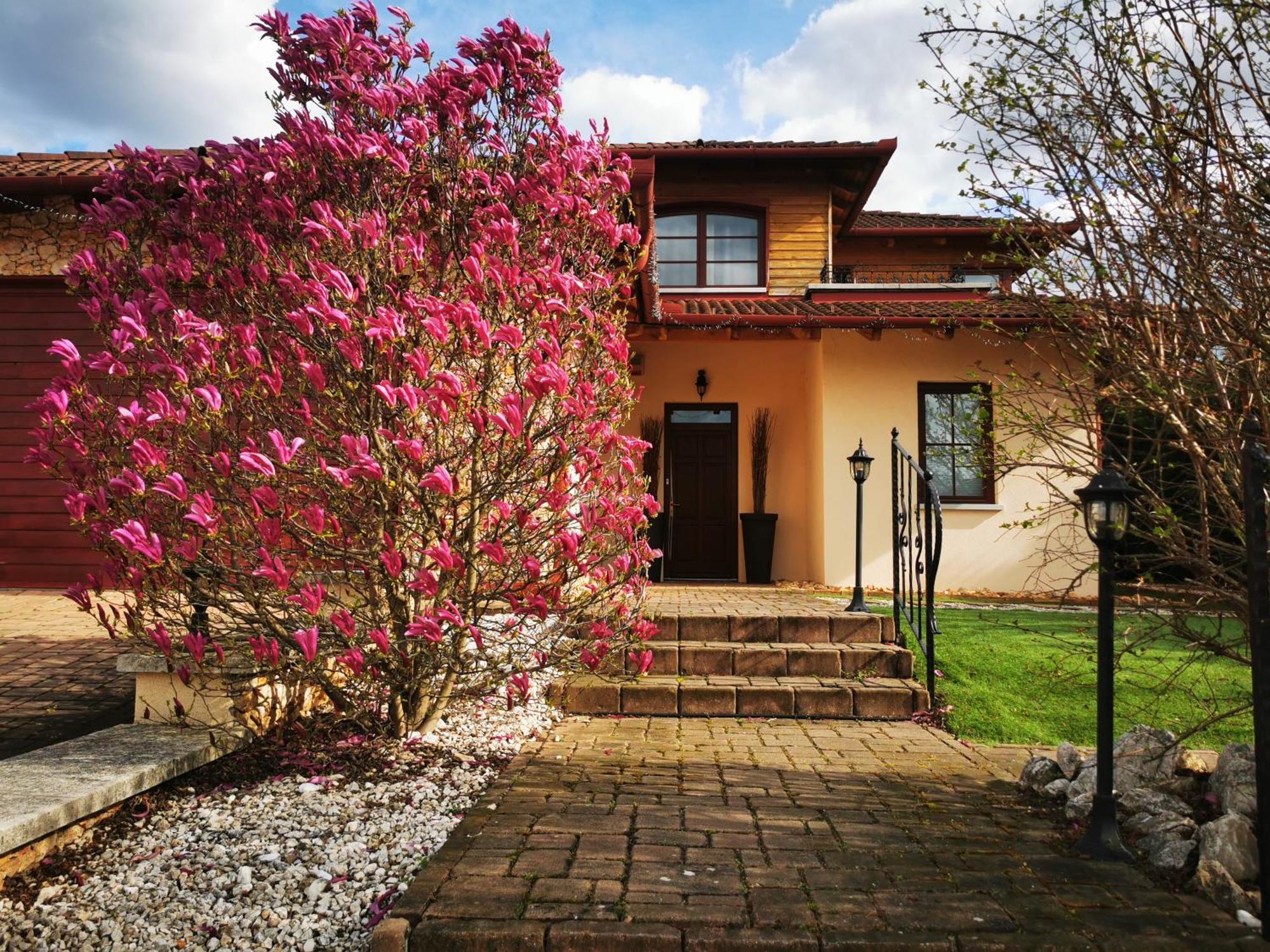 Luxury Basement In The Surrounding Of Budapest Διαμέρισμα Mogyoród Εξωτερικό φωτογραφία